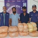 ব্রাহ্মণবাড়িয়া বিজয়নগরে  ২০ কেজি গাঁজাসহ দুই মাদক কারবারি গ্রেপ্তার