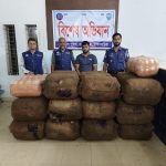 কসবায় ৩৬০ কেজি গাঁজাসহ মাদক কারবারি গ্রেপ্তার, জব্দ পিকআপ; আসামির বিরুদ্ধে ৪টি মাদক মামলা