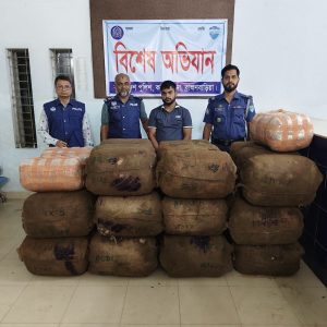 কসবায় ৩৬০ কেজি গাঁজাসহ মাদক কারবারি গ্রেপ্তার, জব্দ পিকআপ; আসামির বিরুদ্ধে ৪টি মাদক মামলা