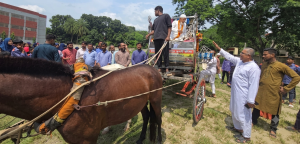 বাঞ্ছারামপুরে শিক্ষককে রাজকীয় বিদায়, প্রয়াত শিক্ষক মোজাম্মেল হকের পরিবারকে মরণোত্তর সম্মাননা