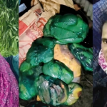 দেবিদ্বারে বাড়ির মালিক কে হত্যা করে,মরদেহ ৯  টুকরো করার অভিযোগ ; ভাড়াটিয়া নারী আটক