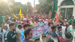 বাঞ্ছারামপুরে বিএনপির ৪৮তম প্রতিষ্ঠাবার্ষিকীতে বিশাল র‌্যালি ও পথসভা