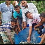 দেশীয় মাছের প্রজনন বাড়াতে বাঞ্ছারামপুরে পোনা অবমুক্ত করলেন ব্যারিস্টার অপু
