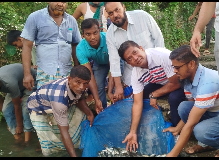 দেশীয় মাছের প্রজনন বাড়াতে বাঞ্ছারামপুরে পোনা অবমুক্ত করলেন ব্যারিস্টার অপু